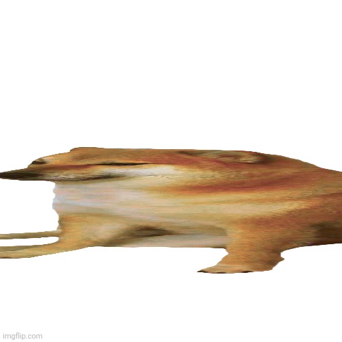 t h i c c | image tagged in memes,blank transparent square | made w/ Imgflip meme maker