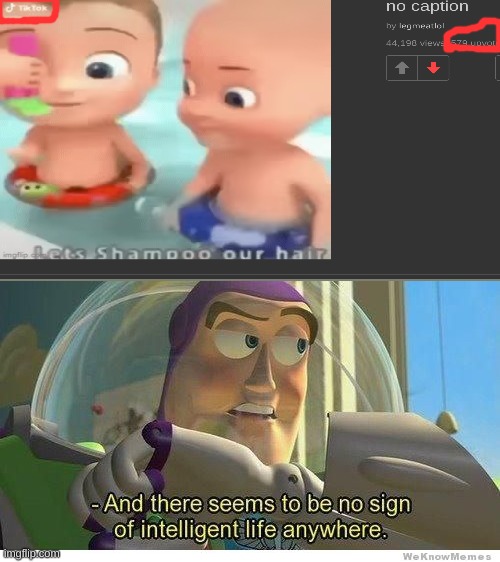 why does this have so many upvotes tik tok sucks | image tagged in buzz lightyear no intelligent life | made w/ Imgflip meme maker