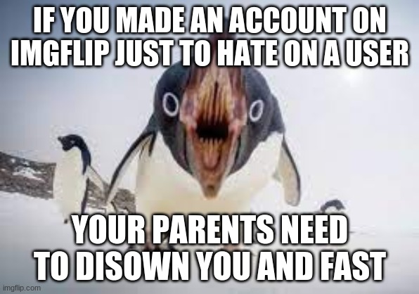 Only people with an iq below the average michigan temperature in winter would do that | IF YOU MADE AN ACCOUNT ON IMGFLIP JUST TO HATE ON A USER; YOUR PARENTS NEED TO DISOWN YOU AND FAST | image tagged in you have angered pingu | made w/ Imgflip meme maker