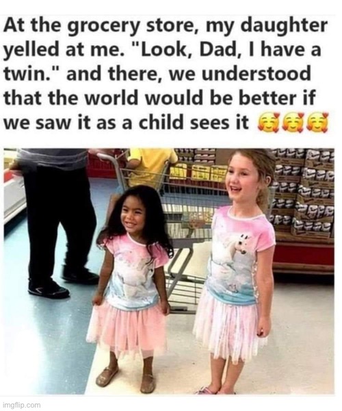 Grocery store twins | image tagged in grocery store twins | made w/ Imgflip meme maker