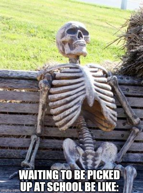 Waiting Skeleton Meme | WAITING TO BE PICKED UP AT SCHOOL BE LIKE: | image tagged in memes,waiting skeleton | made w/ Imgflip meme maker