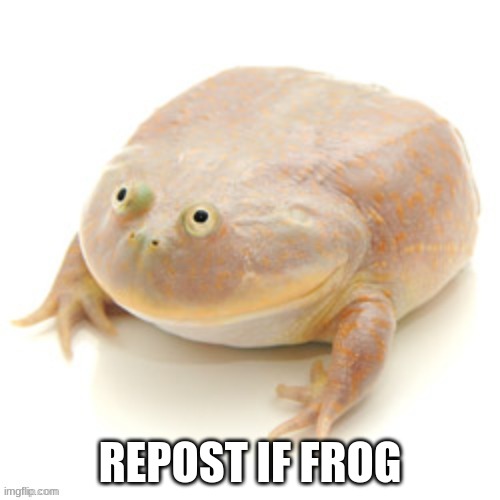 REPOST IF FROG | made w/ Imgflip meme maker