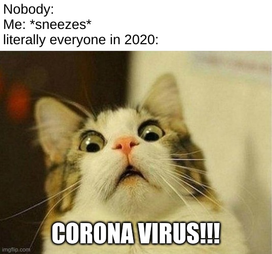 Coronaaaa Virusss!! | Nobody:
Me: *sneezes*
literally everyone in 2020:; CORONA VIRUS!!! | image tagged in memes,scared cat,corona virus,2020,nope nope nope,reeeeeeeeeeeeeeeeeeeeee | made w/ Imgflip meme maker