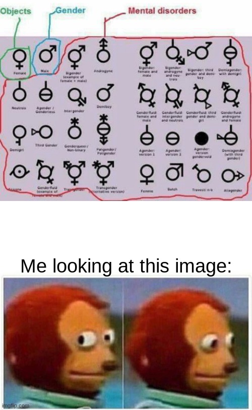 Bois, I found the stupidest image on the internet! | Me looking at this image: | image tagged in memes,monkey puppet | made w/ Imgflip meme maker