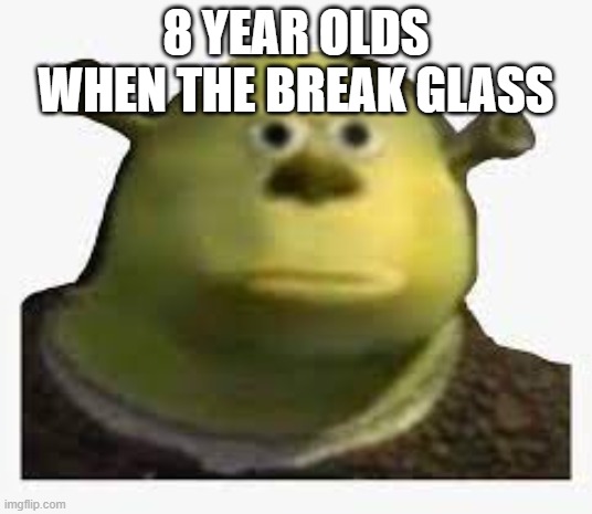 no | 8 YEAR OLDS WHEN THE BREAK GLASS | image tagged in star wars no | made w/ Imgflip meme maker