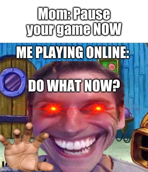 they never understand | Mom: Pause your game NOW; ME PLAYING ONLINE:; DO WHAT NOW? | image tagged in bruh,smh,come on now,get real | made w/ Imgflip meme maker