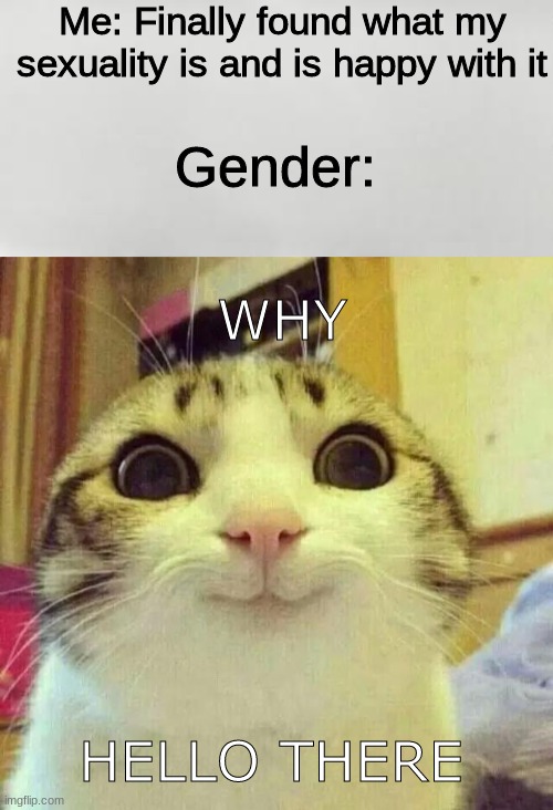 Don't worry ppl, now im chillin as a non-binary bisexual person B) | Me: Finally found what my sexuality is and is happy with it; Gender:; WHY; HELLO THERE | image tagged in well hello there,gender,sexuality,lgbtq | made w/ Imgflip meme maker