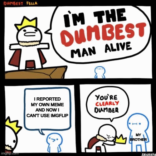 I'm the dumbest man alive | I REPORTED MY OWN MEME AND NOW I CAN'T USE IMGFLIP; MY BROTHER | image tagged in i'm the dumbest man alive | made w/ Imgflip meme maker