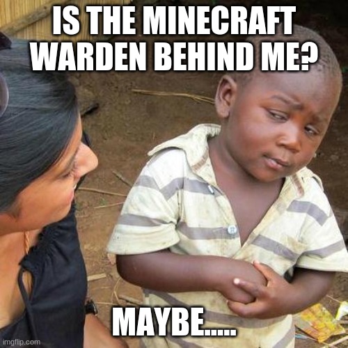 Third World Skeptical Kid | IS THE MINECRAFT WARDEN BEHIND ME? MAYBE..... | image tagged in memes,third world skeptical kid | made w/ Imgflip meme maker