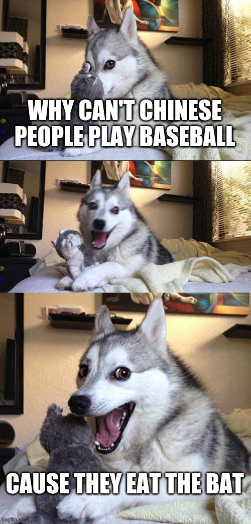 Bad Pun Dog Meme | WHY CAN'T CHINESE PEOPLE PLAY BASEBALL; CAUSE THEY EAT THE BAT | image tagged in memes,bad pun dog | made w/ Imgflip meme maker