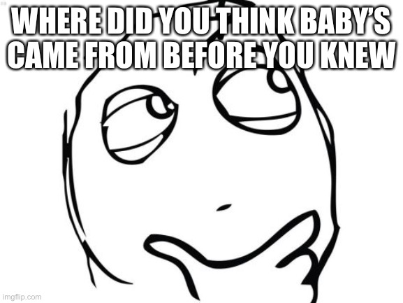 Lool | WHERE DID YOU THINK BABY’S CAME FROM BEFORE YOU KNEW | image tagged in memes,question rage face | made w/ Imgflip meme maker