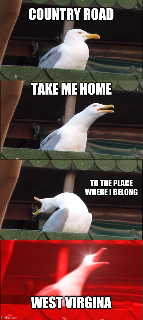 Inhaling Seagull | COUNTRY ROAD; TAKE ME HOME; TO THE PLACE WHERE I BELONG; WEST VIRGINA | image tagged in memes,inhaling seagull | made w/ Imgflip meme maker