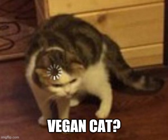 Loading cat | VEGAN CAT? | image tagged in loading cat | made w/ Imgflip meme maker