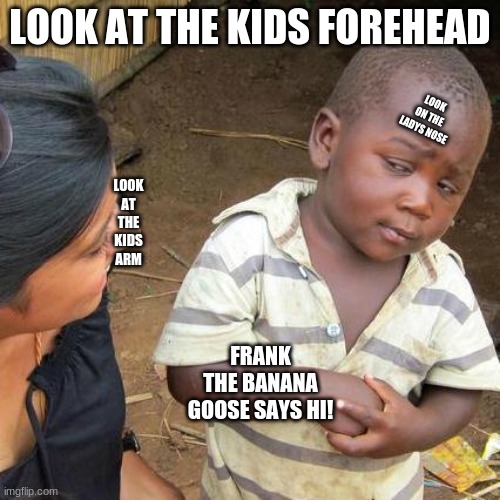 start at top of meme | LOOK AT THE KIDS FOREHEAD; LOOK ON THE LADYS NOSE; LOOK AT THE KIDS ARM; FRANK THE BANANA GOOSE SAYS HI! | image tagged in memes,third world skeptical kid | made w/ Imgflip meme maker