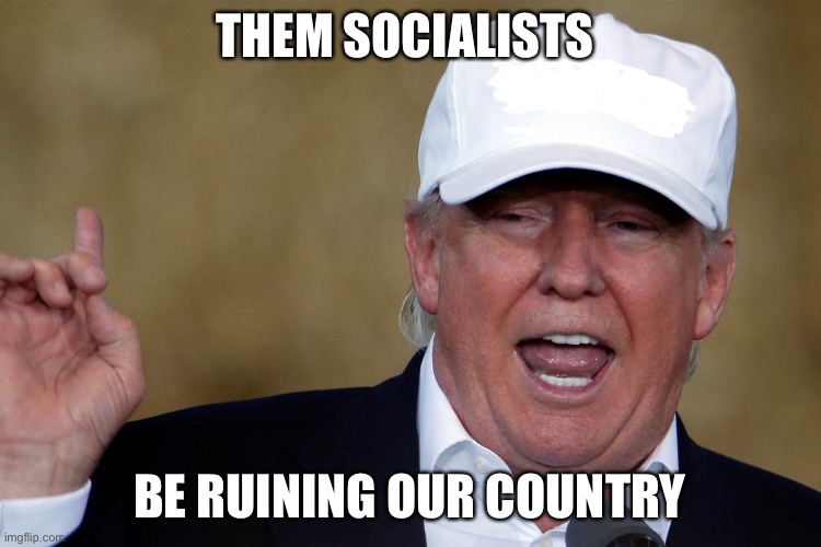 Donald Trump Blank MAGA Hat | THEM SOCIALISTS BE RUINING OUR COUNTRY | image tagged in donald trump blank maga hat | made w/ Imgflip meme maker