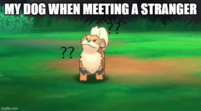 Growlithe hmm | MY DOG WHEN MEETING A STRANGER | image tagged in growlithe hmm | made w/ Imgflip meme maker