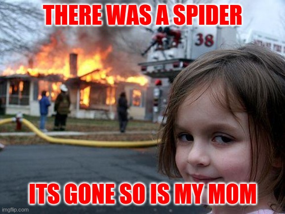 Fire gurl | THERE WAS A SPIDER; ITS GONE SO IS MY MOM | image tagged in memes,disaster girl | made w/ Imgflip meme maker