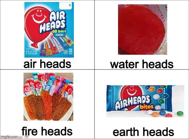 Basic Four Panel Meme | water heads; air heads; fire heads; earth heads | image tagged in basic four panel meme | made w/ Imgflip meme maker