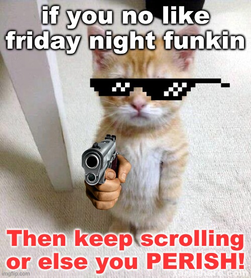 Don't test the cat | if you no like friday night funkin; Then keep scrolling or else you PERISH! | image tagged in memes,cute cat | made w/ Imgflip meme maker