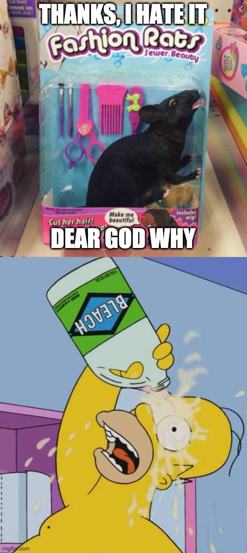 no | THANKS, I HATE IT; DEAR GOD WHY | image tagged in fashion rats,homer with bleach,memes,funny | made w/ Imgflip meme maker