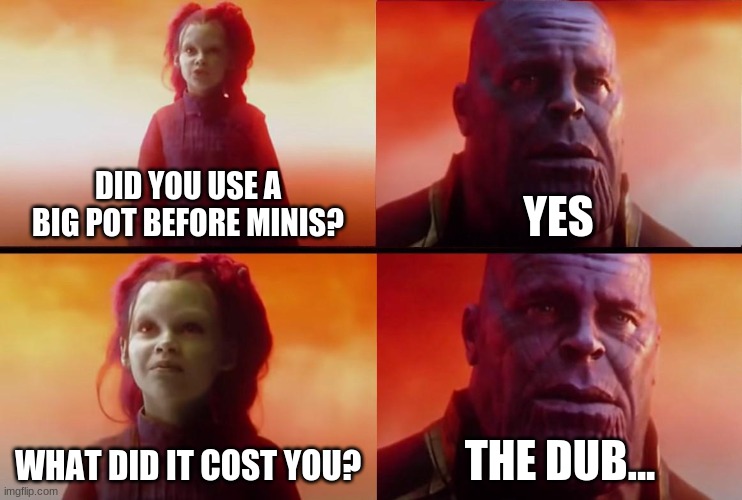 The problem of minis and big pots |  DID YOU USE A BIG POT BEFORE MINIS? YES; WHAT DID IT COST YOU? THE DUB... | image tagged in thanos what did it cost | made w/ Imgflip meme maker