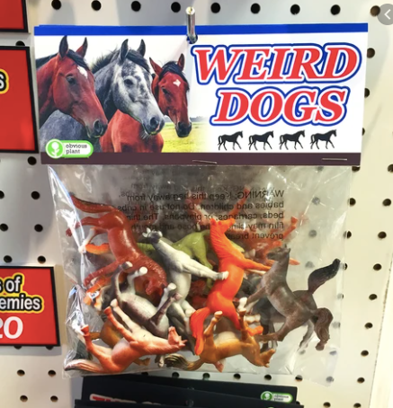 Weird Dogs Blank Meme Template