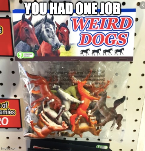 r/youhadonejob | YOU HAD ONE JOB | image tagged in weird dogs,memes,funny,r/youhadonejob | made w/ Imgflip meme maker