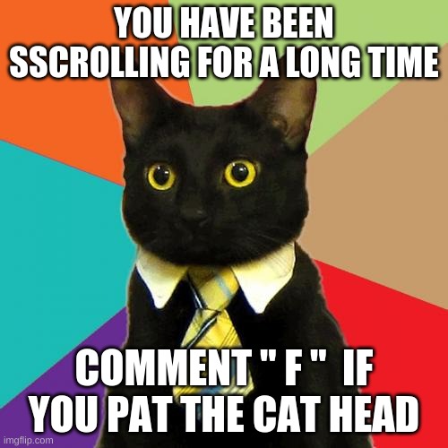 Business Cat |  YOU HAVE BEEN SSCROLLING FOR A LONG TIME; COMMENT " F "  IF YOU PAT THE CAT HEAD | image tagged in memes,business cat | made w/ Imgflip meme maker