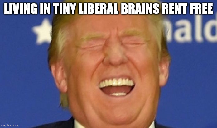 Trump laughing | LIVING IN TINY LIBERAL BRAINS RENT FREE | image tagged in trump laughing | made w/ Imgflip meme maker