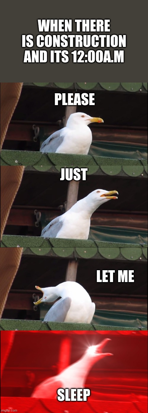 Screaming seagull | WHEN THERE IS CONSTRUCTION AND ITS 12:00A.M; PLEASE; JUST; LET ME; SLEEP | image tagged in memes,inhaling seagull | made w/ Imgflip meme maker