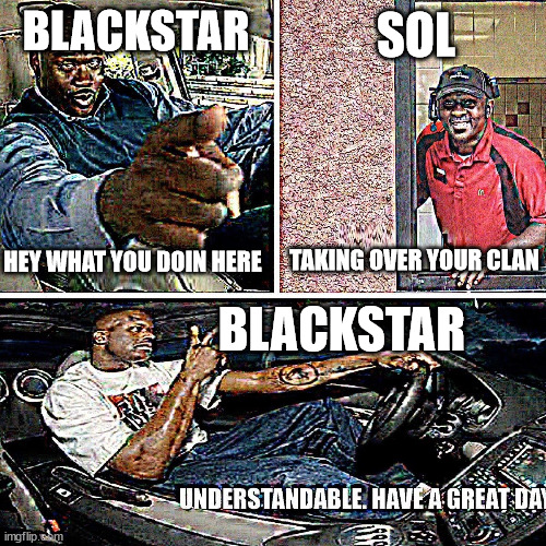 blackstar no- | SOL; BLACKSTAR; HEY WHAT YOU DOIN HERE; TAKING OVER YOUR CLAN; BLACKSTAR | image tagged in understandable have a great day,blackstar,sol,warrior cats | made w/ Imgflip meme maker