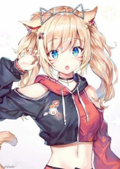 Cat girls are technically furries? - Imgflip