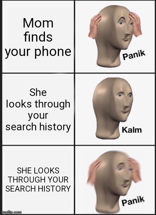Oh no | Mom finds your phone; She looks through your search history; SHE LOOKS THROUGH YOUR SEARCH HISTORY | image tagged in memes,panik kalm panik | made w/ Imgflip meme maker