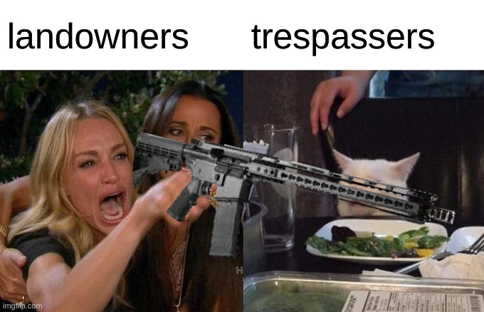 landowners vs trespassers | landowners; trespassers | image tagged in landowners,trespassers,woman yelling at cat | made w/ Imgflip meme maker