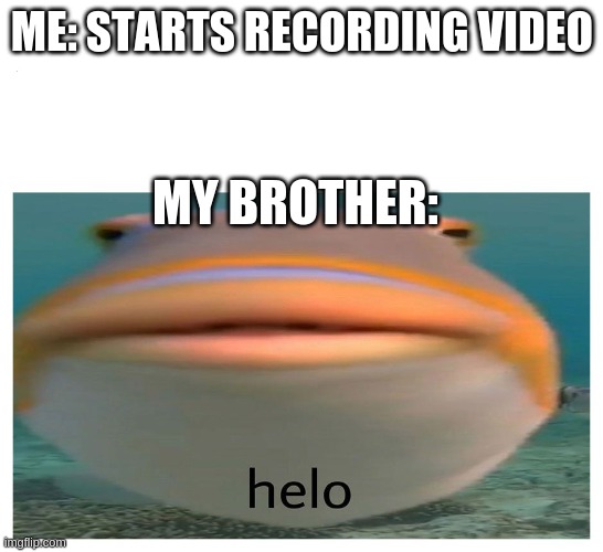 The life of a youtuber | ME: STARTS RECORDING VIDEO; MY BROTHER: | image tagged in helo fish | made w/ Imgflip meme maker