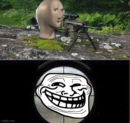 Sniper cat | image tagged in sniper cat | made w/ Imgflip meme maker