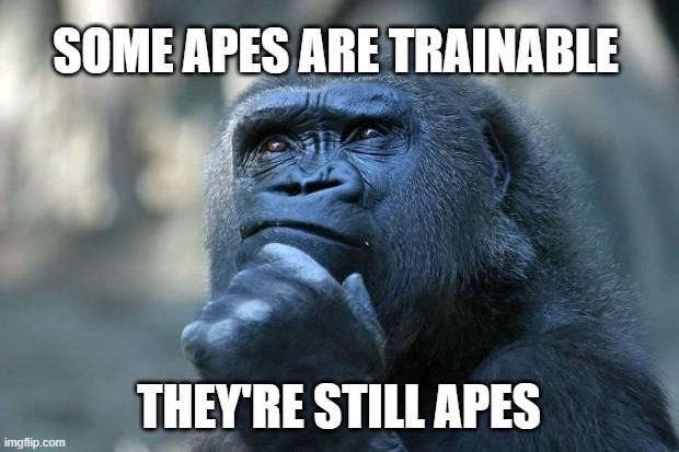 Deep Thoughts | SOME APES ARE TRAINABLE; THEY'RE STILL APES | image tagged in deep thoughts | made w/ Imgflip meme maker