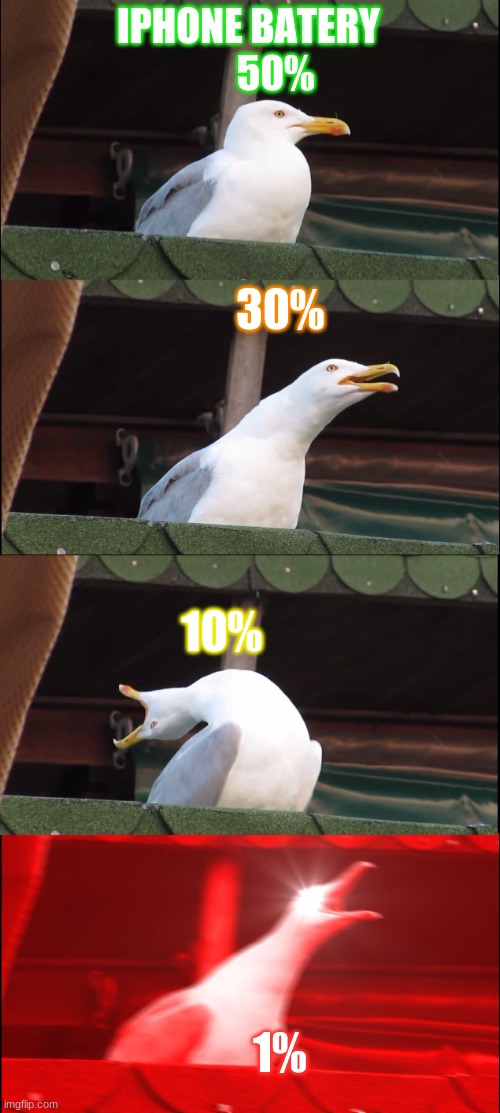 Inhaling Seagull |  IPHONE BATERY
       50%; 30%; 10%; 1% | image tagged in memes,inhaling seagull | made w/ Imgflip meme maker