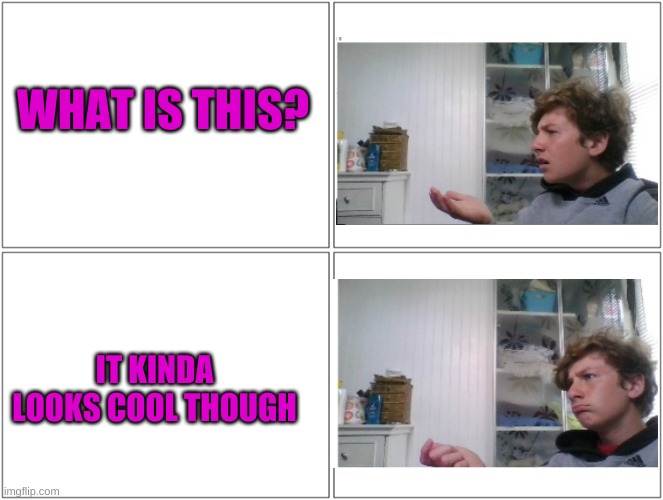 Conversation | WHAT IS THIS? IT KINDA LOOKS COOL THOUGH | image tagged in conversation | made w/ Imgflip meme maker