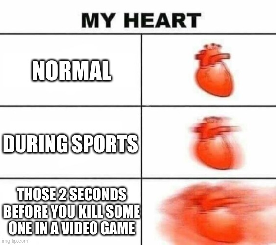 My heart blank | NORMAL; DURING SPORTS; THOSE 2 SECONDS BEFORE YOU KILL SOME ONE IN A VIDEO GAME | image tagged in my heart blank | made w/ Imgflip meme maker
