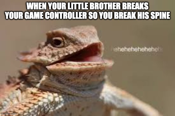 heheheheh dragon | WHEN YOUR LITTLE BROTHER BREAKS YOUR GAME CONTROLLER SO YOU BREAK HIS SPINE | image tagged in heheheheh dragon | made w/ Imgflip meme maker