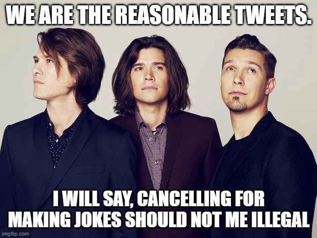 Cancel Culture | WE ARE THE REASONABLE TWEETS. I WILL SAY, CANCELLING FOR MAKING JOKES SHOULD NOT ME ILLEGAL | image tagged in cancel culture | made w/ Imgflip meme maker