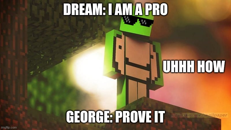 Dream Gets Roasted | DREAM: I AM A PRO; UHHH HOW; GEORGE: PROVE IT | image tagged in funny | made w/ Imgflip meme maker