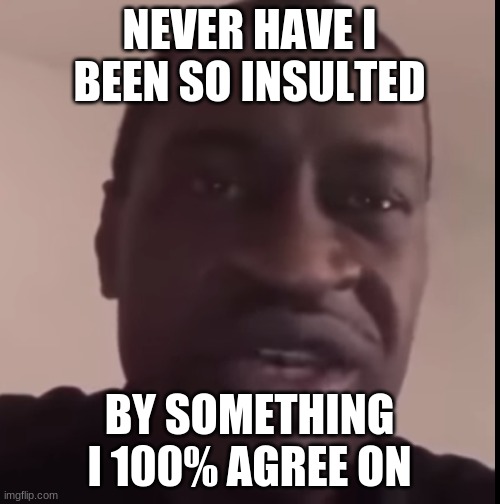 George Floyd | NEVER HAVE I BEEN SO INSULTED BY SOMETHING I 100% AGREE ON | image tagged in george floyd | made w/ Imgflip meme maker