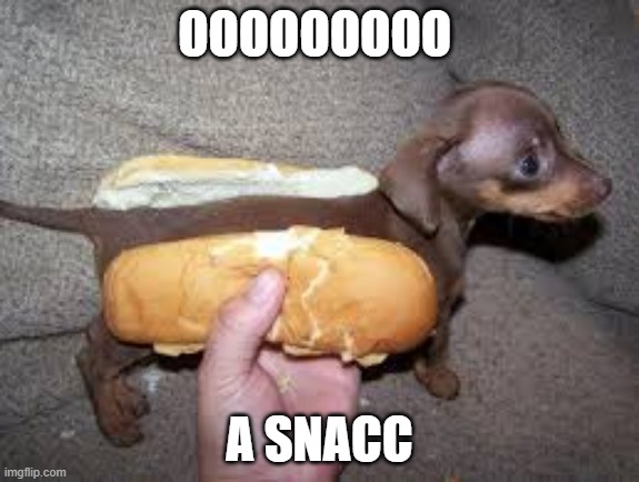 hot dog dog god | OOOOOOOOO; A SNACC | image tagged in hot dog dog god | made w/ Imgflip meme maker