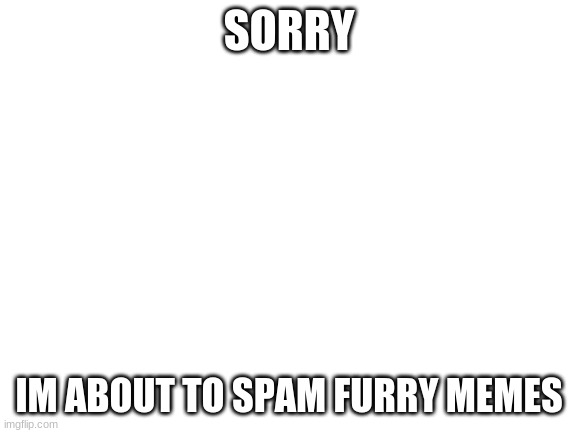 again sorry | SORRY; IM ABOUT TO SPAM FURRY MEMES | image tagged in blank white template | made w/ Imgflip meme maker