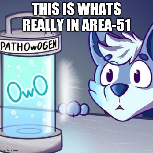 THIS IS WHATS REALLY IN AREA-51 | image tagged in furry | made w/ Imgflip meme maker