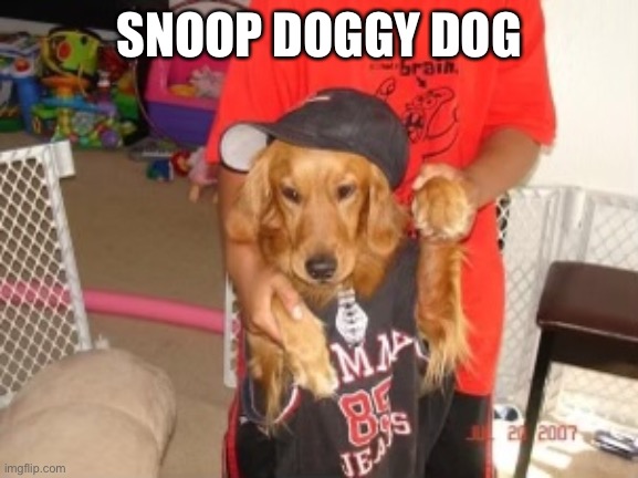 Rip copper | SNOOP DOGGY DOG | image tagged in dog,rip,snoop dogg | made w/ Imgflip meme maker