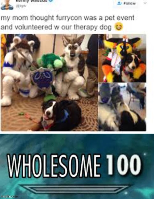 image tagged in furry,wholesome | made w/ Imgflip meme maker