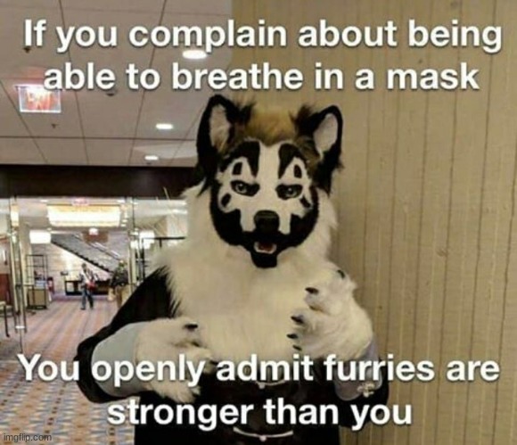 facts | image tagged in furry | made w/ Imgflip meme maker